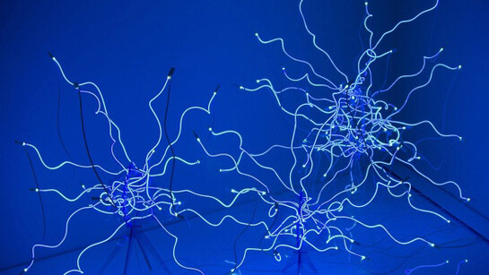 Chihuly. Courtesy of Groninger Museum
