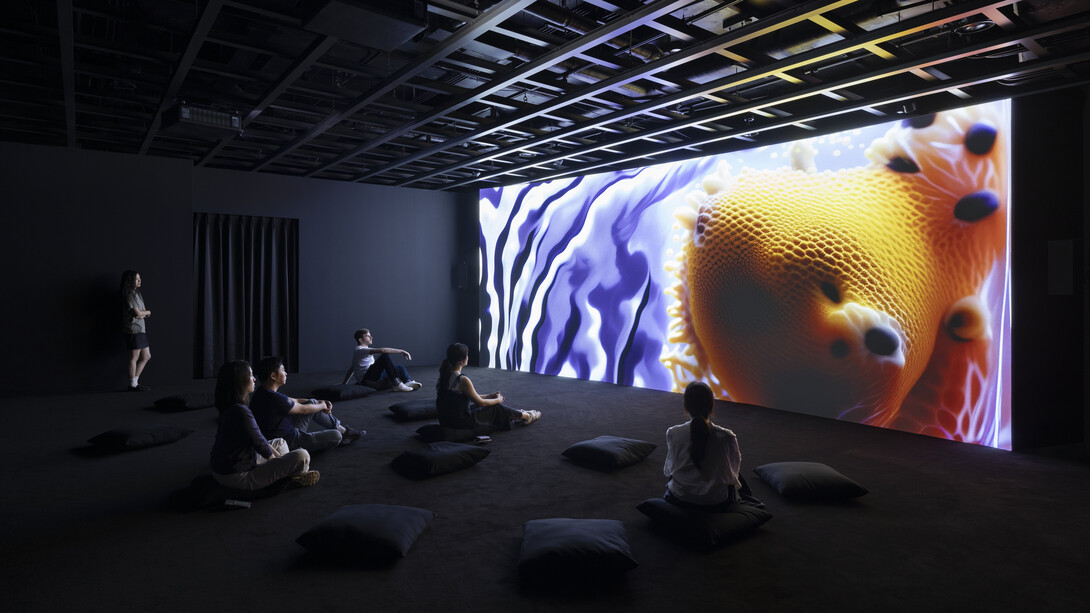Various artists, Data dreams: art and AI, exhibition view. Courtesy of MCA 