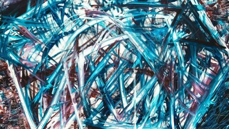 La vita in tutte le sue forme si manifesta ai confini del caos