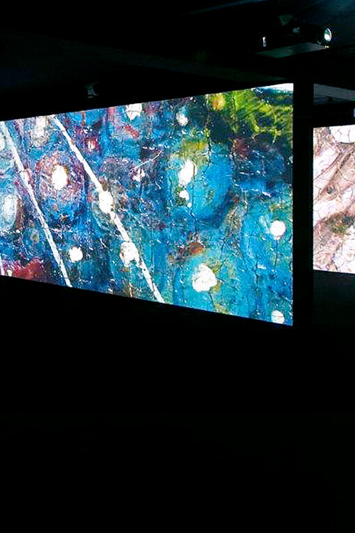 Infinite Garden. Courtesy of Museo de Bellas Artes de Bilbao