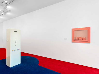 Taryn Simon, The game, exhibition view. Courtesy of Almine Rech 