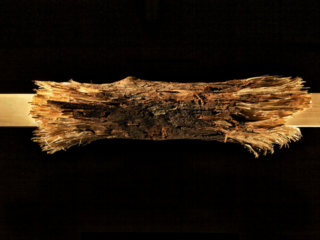 Mattia Bosco. Come cera per le api