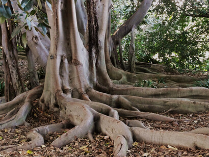 La resiliencia potencia nuestra creatividad ante los cambios y situaciones difíciles y nos aporta la capacidad para ver con perspectiva el momento vital