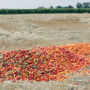 Martin Kollar. Courtesy of Galerie Stephan Witschi