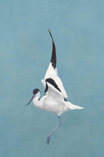 Tim Hayward. Courtesy of Jonathan Cooper Park Walk Gallery