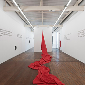 Maurício Ianês, Installation view