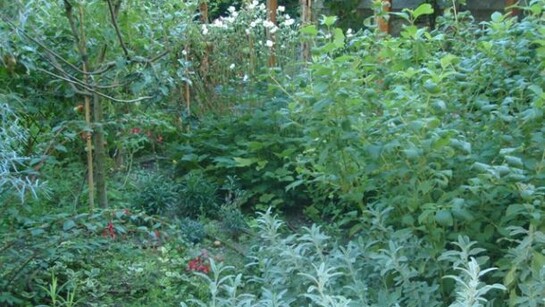 Brolo antico trasformato in un giardino di città