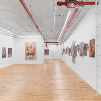 Andrej Dúbravský, Laboratory of flesh and balls, exhibition view. Courtesy of Gaa Gallery