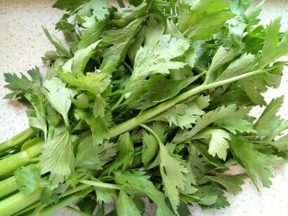 Foglie di sedano