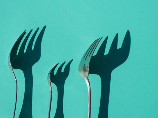 Una alimentación saludable no se construye con dietas temporales, sino con hábitos sostenibles que acompañan toda la vida