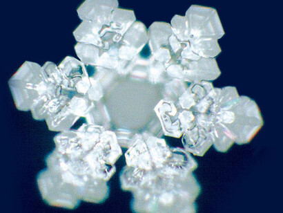 Una forma floreale creata da un cristallo di ghiaccio