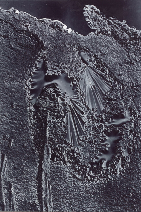 Daniel Lefcourt, Anti-Scan, 2015, Pigment and Urethane Binder on Canvas, 142.2 x 101.6 cm / 56 x 40 inches
