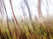 Paolo Sollazzo. Courtesy of Gallerja