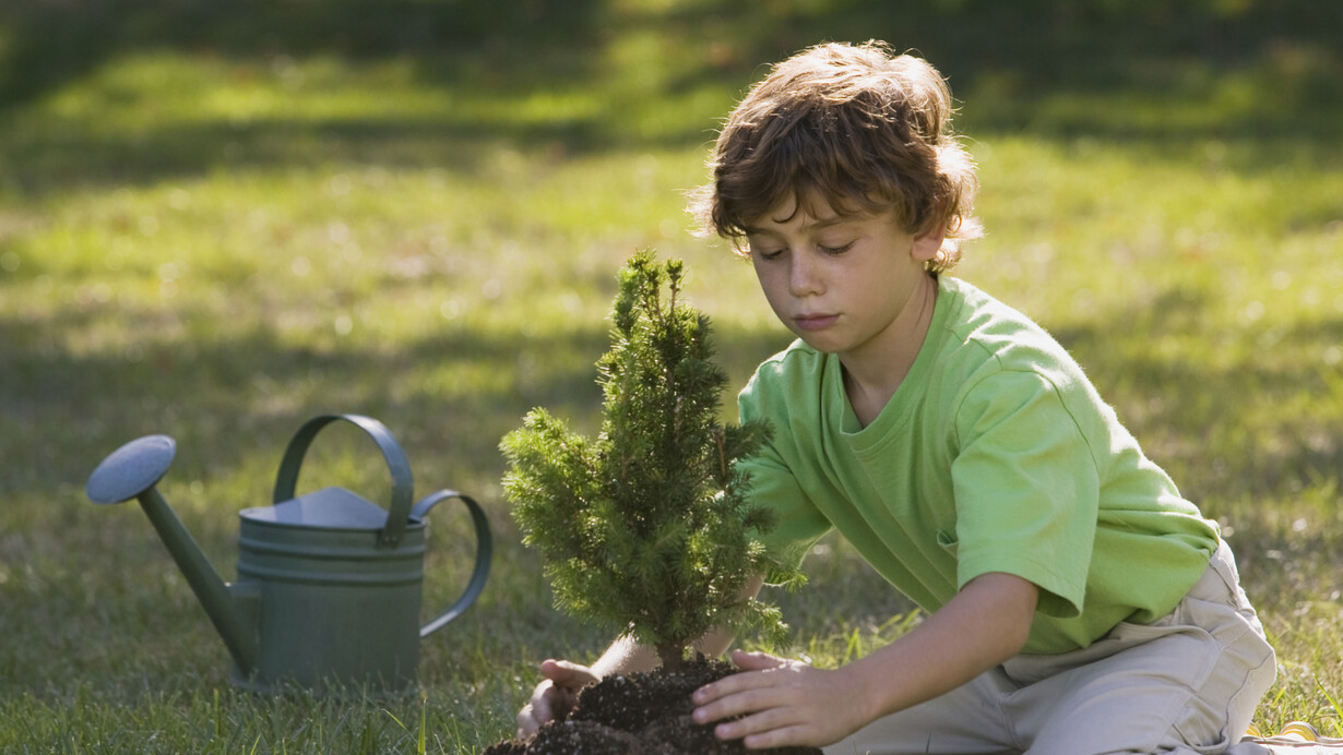 Un albero per ogni bambino?