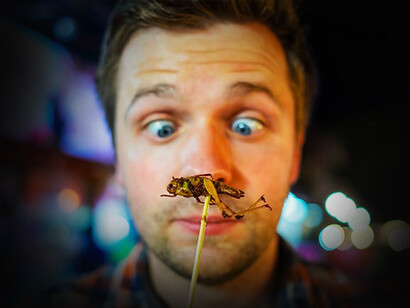 Quizá la próxima pregunta sería: ¿es ético comer insectos? 