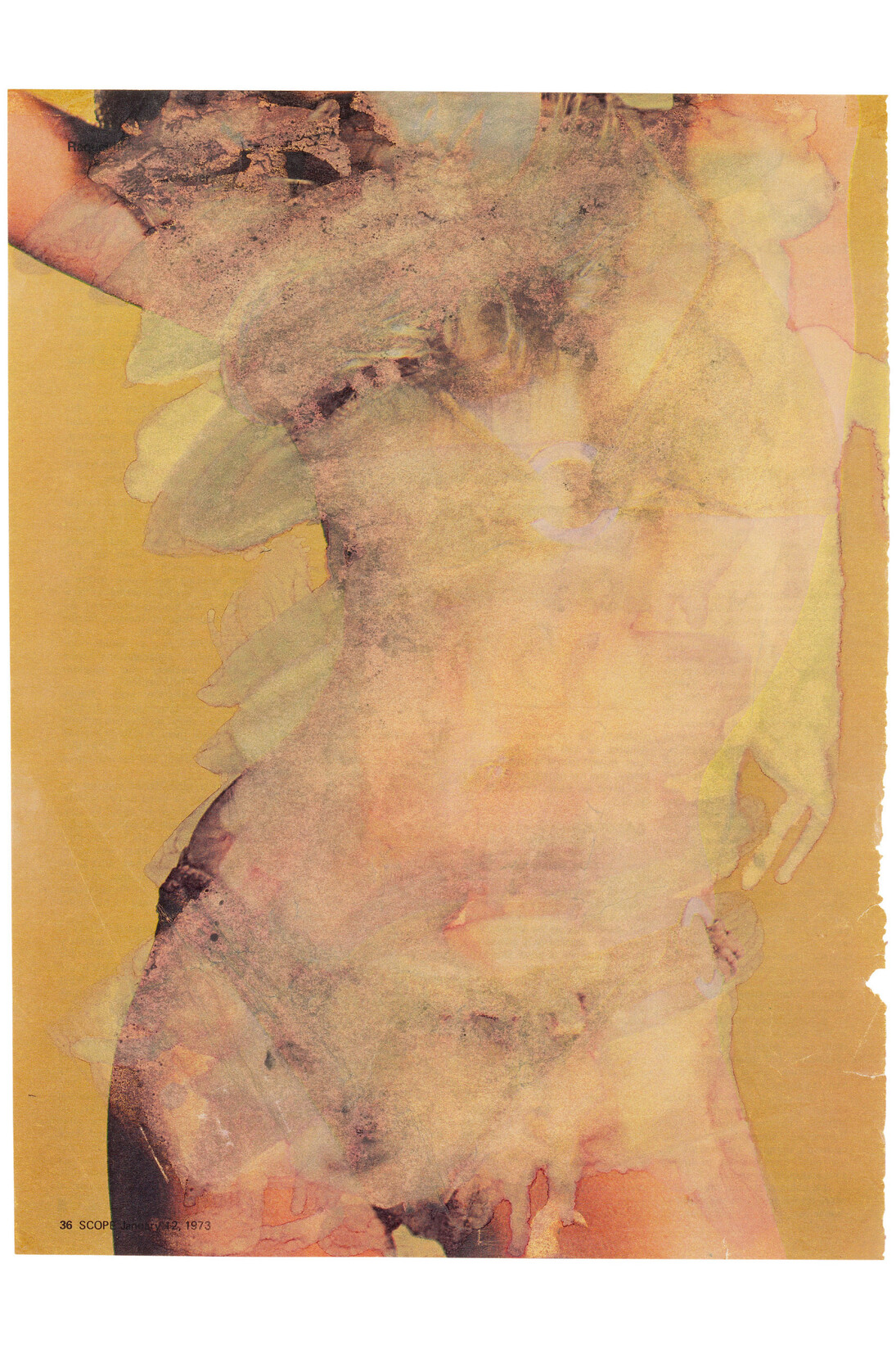 Marlene Dumas, Scope Magazine Pin-up, 1973, Private Collection © Marlene Dumas
