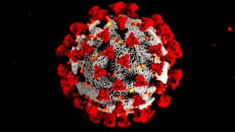Coronavirus