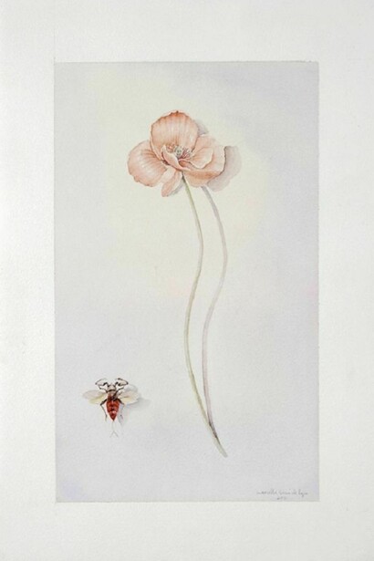 Mariella Busi, Watercolour