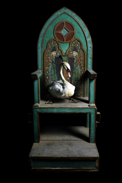 Marco Schifano, Cigno, 2012, stampa su carta baritata montata su alluminio, 140 x 104 cm, Ed. 1/3 +2 P.A