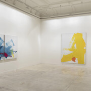 Zhang Wei. Courtesy of Galerie Krinzinger