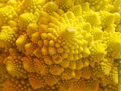 Acercamiento a la estrtuctura del romanesco