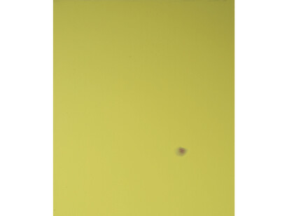 Ivan Fayard, #S16 - 2014, Acrylic on canvas, 65 x 54 cm, Courtesy: Galerie Houg