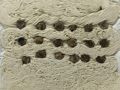 Bené Fonteles. Courtesy of Galeria Karla Osorio