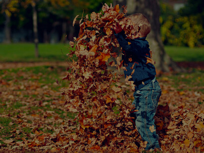 Entanglement describes the delicate and entwined nature of humans and their environment