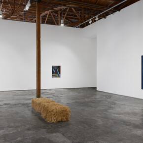 Sarah Miska, Happy trails, exhibition view. Courtesy of Night Gallery