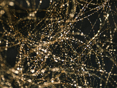 Pesquisas recentes indicam que a psicoterapia pode reduzir a atividade da amígdala e melhorar áreas relacionadas ao controle de impulsos e à regulação emocional