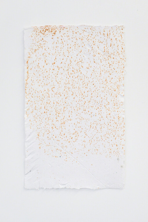 Fibers of Being. Courtesy of LKB/G