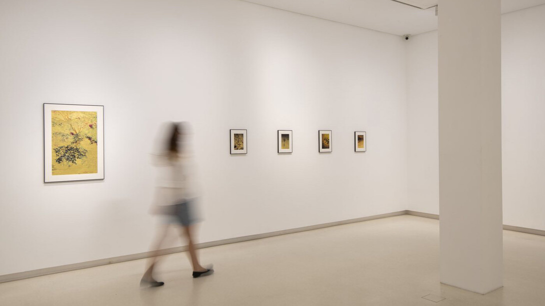 Anna Cabrera y Ángel Albarrán, Ventanas a lo insólito, vista de exhibición. Cortesía de la Galería Elvira González