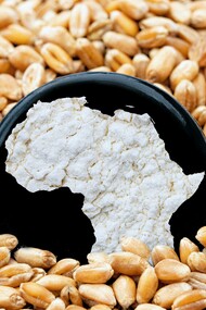 Profilo dell'Africa tra chicchi di grano