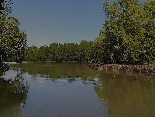 This segment showcases the Mangrove Forest Creek situated in Robinson Island, Kinya'ole, Fundissa, part of the scenic Magarini Constituency within Kilifi County, Kenya