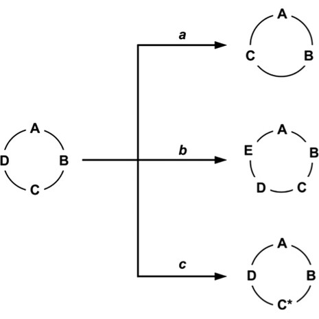 Schematisation of the modularity operations of engineering SB
