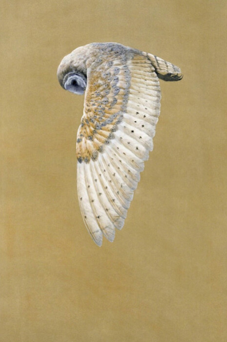 Tim Hayward. Courtesy of Jonathan Cooper Park Walk Gallery