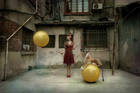 Maleonn, My Circus Tiger, 2005, 80 x120cm, tirage phot sur papier fine art, courtesy galerie Magda Danysz