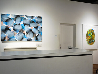Michelle Concepción, Chaos to Order, installation view. Courtesy of the artist and ArtSpace/Virginia Miller Galleries