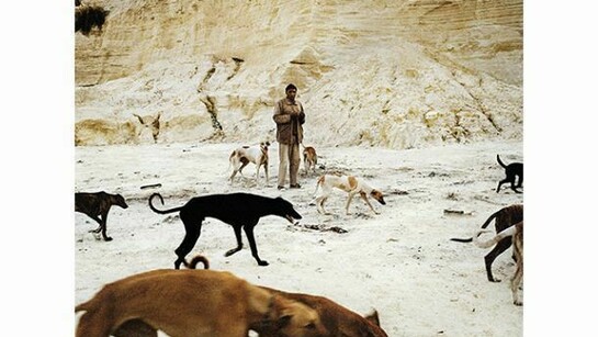 Daniel and the Hunting Dogs, 2012 Archival pigment print, 45 x 45cm, © Jason Larkin, courtesy of Flowers Gallery