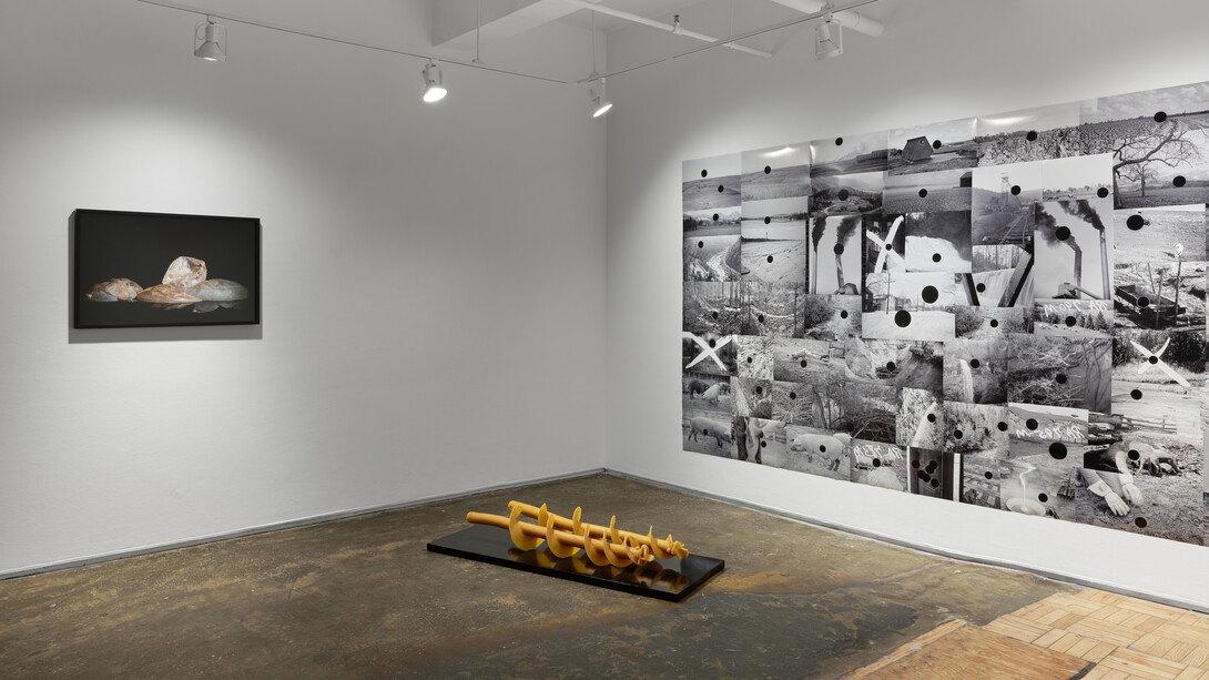 Ohan Breiding, Beside the sun, exhibition view. Courtesy of A.I.R. Gallery