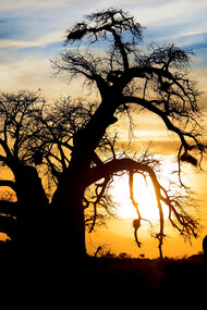 Tramonto in Sud Africa