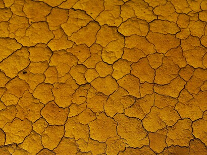 La desertización amenaza al planeta