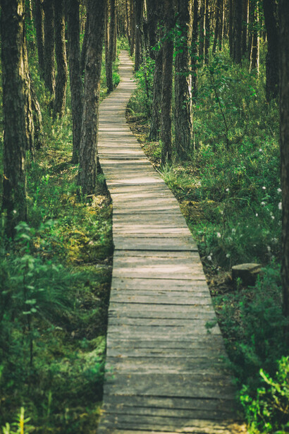 Escuchar el cuerpo y dar lenguaje a lo vivido nos permite recuperar poder y establecer nuevos límites amorosos