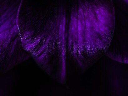 Bisogna solo lasciare che l’amore che ci ha fatto innamorare ci insegni a farlo per andare oltre i confini dei confini