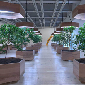 Helen Mayer Harrison and Newton Harrison, Survival piece #5, portable orchard, exhibition view. Courtesy of Whitney Museum