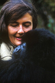 Dian Fossey