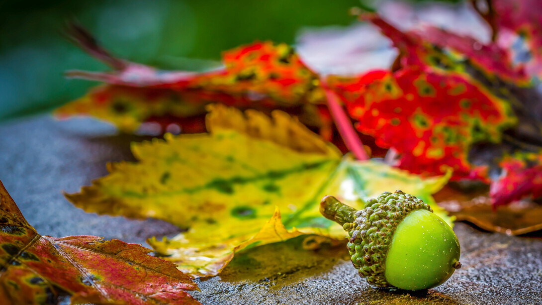 The romantic atmosphere of October
