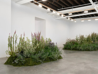 Nicole Rossi, Desire path, exhibition view. Courtesy of Carvalho