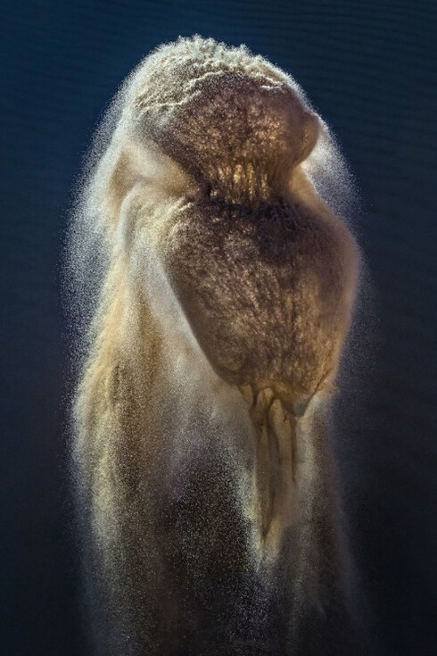 Wolfgang Bohusch. Courtesy of OSME Gallery