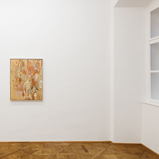 Photo: Markus Wörgötter, Courtesy Galerie nächst St. Stephan Rosemarie Schwarzwälder